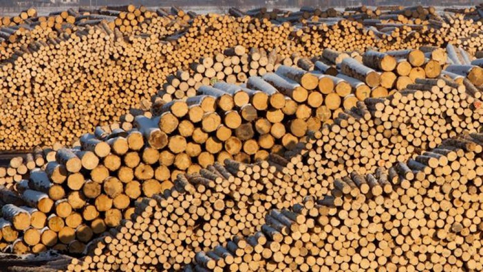 Criza de pe piața lemnului de foc generată de plafonarea prețurilor va fi dezbătută astăzi în Parlament