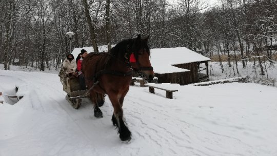 VIDEO: Iarna, în satul-muzeu din Dumbrava Sibiului