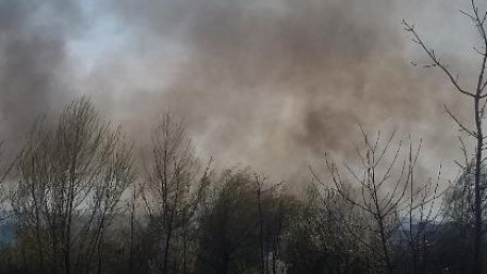 Tulcea: Incendiu pe 20 ha vegetaţie uscată şi viţă de vie stins de pompieri