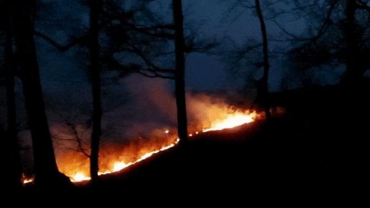 Incendii de vegetaţie în Gorj şi Mehedinţi, pe sute de hectare