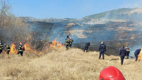 Buzău: Incendiu de vegetație în Breaza