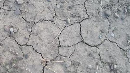  Culturile agricole suferă din cauza lipsei apei din sol