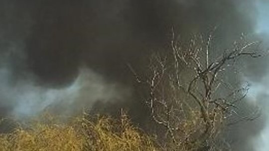 Bacău-2.200ha pământ agricol/fond forestier afectate de arderi necontrolate