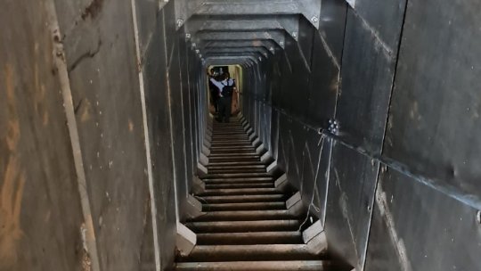 Cârtițele războiului