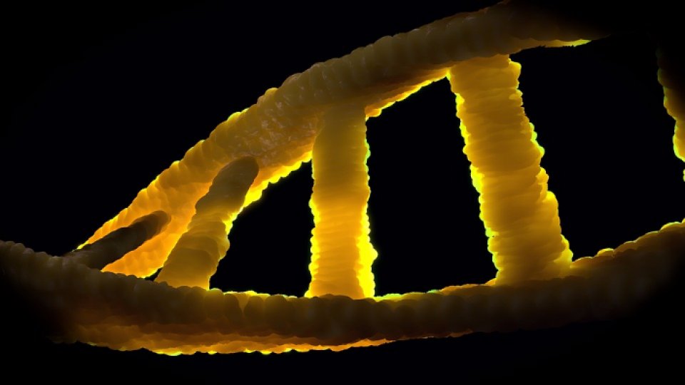 Oamenii de ştiinţă au publicat primul genom uman complet