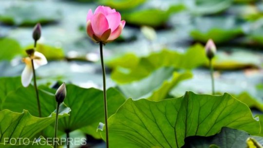 Meteorologii anunţă o îmbunătăţire a vremii spre sfârşitul săptămânii