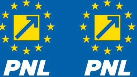 Nicolae Ciucă își depune candidatura la şefia PNL