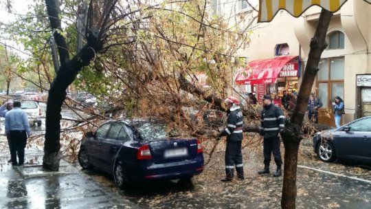 București: Furtuna a doborât zeci de copaci și a avariat 30 de autoturisme