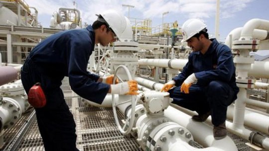  România va putea renunţa la importul gaze naturale 