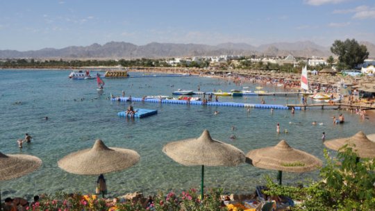 Sezonul de reproducere, motivul atacurilor rechinilor în Marea Roșie