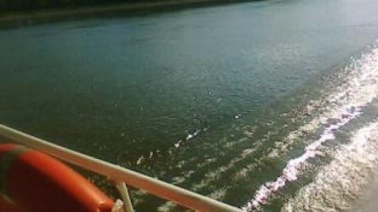 Au apărut praguri de nisip pe Dunăre, iar navigaţia este îngreunată