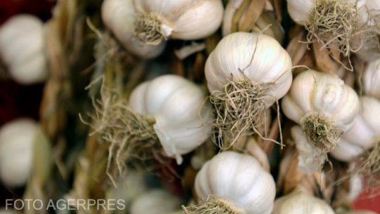 Liberalizarea exporturilor de produse agricole din Republica Moldova în UE