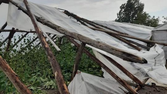Umbrărești, Galați: "Cinci hectare de culturi distruse de o tornadă"