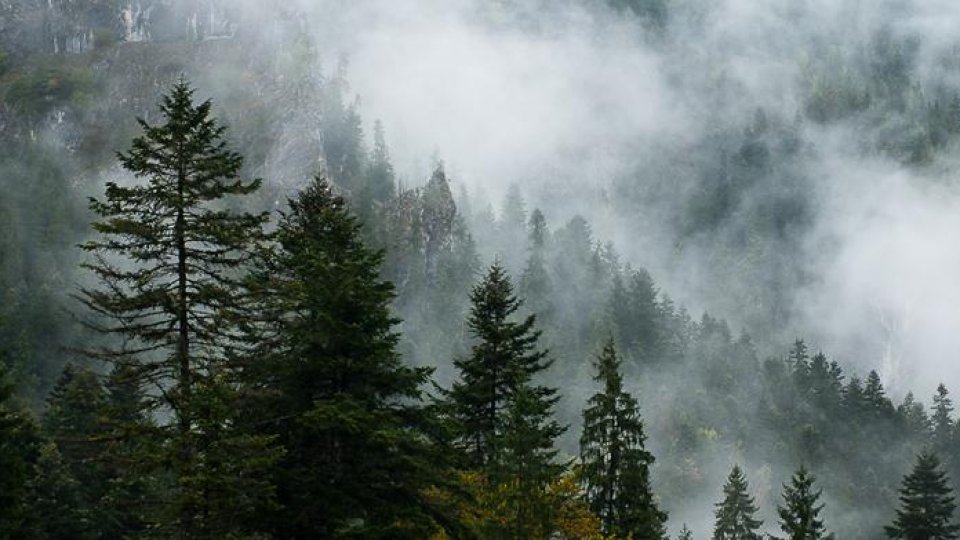 Parcul Național Domogled - Valea Cernei