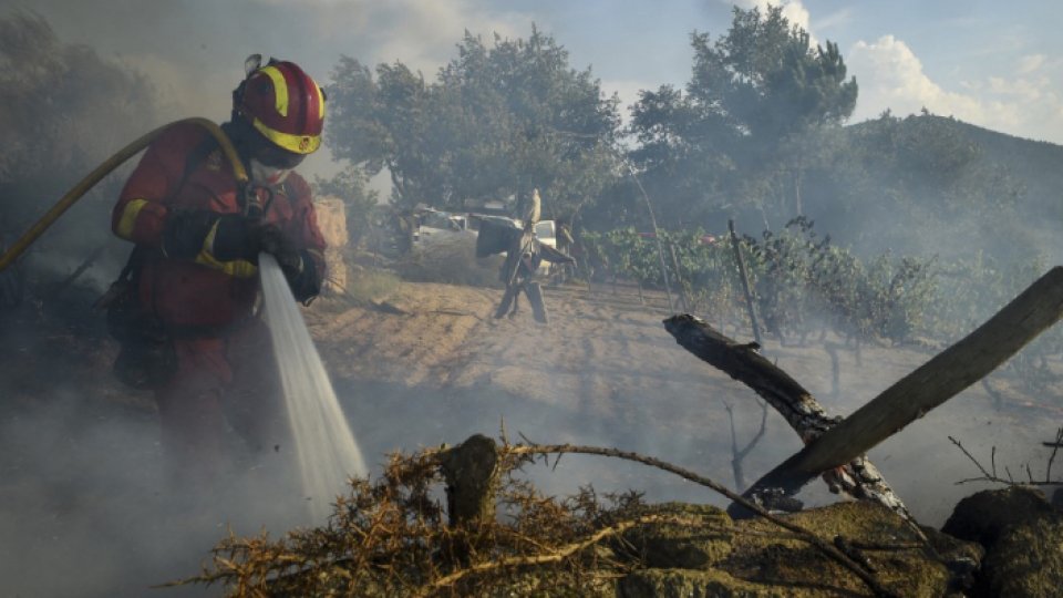 „Cea mai mare suprafaţă afectată de incendii” în UE, din 2006 încoace