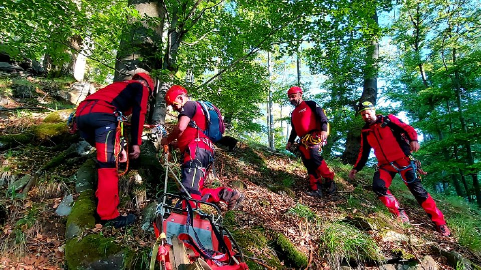 Persoană rătăcită, găsită în viață după opt zile petrecute în sălbăticie