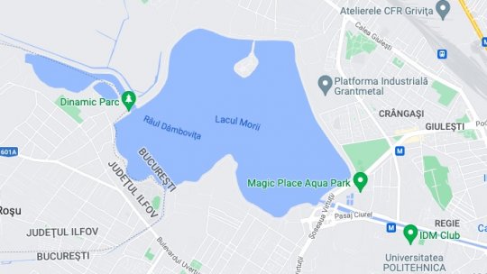 Anchetă penală după ce o femeie a fost ucisă de câini în zona Lacului Morii din București