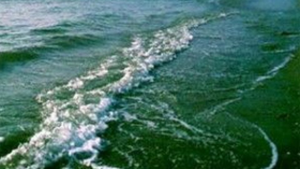 Statul major al Forțelor Navale Române le recomandă persoanelor care își desfășoară activitatea în zona litoralului să anunțe autoritățile dacă observă obiecte plutitoare suspecte