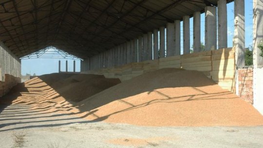 Prăbușirea prețului cerealelor pe bursele internaționale ridică mari probleme fermierilor români