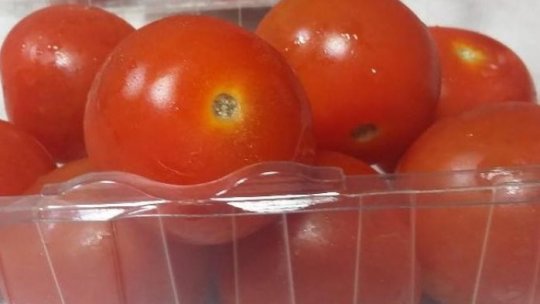 Programul de susţinere a producţiei de tomate în sere continuă în 2023