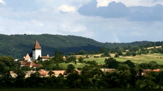 „Acţiunea Vienezii şi alte ingrediente”