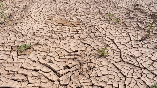 PROBLEME LA ZI: "Vara indiana" a agriculturii românești - fenomenul de seceta pedologică