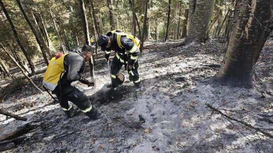 Un nou incendiu de vegetație uscată în comuna Dumitrești - Vrancea