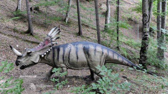 Potrivit unor noi cercetări, dinozaurii ar fi dispărut din cauza prafului ridicat de lovirea Pământului de către un asteroid