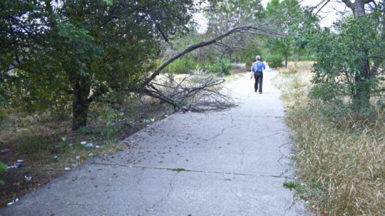 Proprietarul din zona retrocedată a parcului IOR, amendat cu 35 de milioane de euro