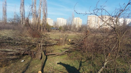 Guvernul, prin Prefectura Capitalei şi Primăria Sectorului 3, solicită Primăriei Generale a Capitalei să atace în justiţie retrocedarea a 12 hectare din Parcul IOR - Alexandru Ioan Cuza
