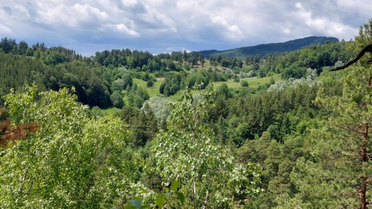 Numărul ariilor protejate din județul Buzău ar putea crește