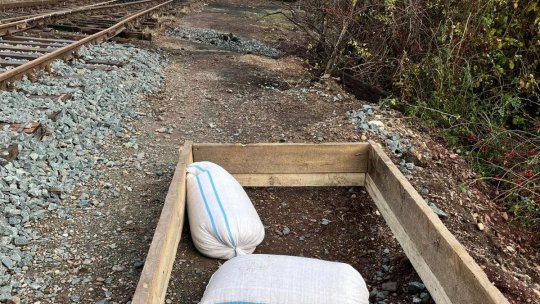 Angajați CFR, la furat de cereale din vagoanele de marfă