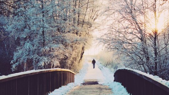 În rândul utilizatorilor de internet, trei români din patru îşi vor petrece acasă vacanţa de iarnă