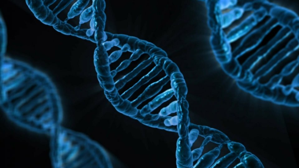 SUA autorizează primul tratament care utilizează ''foarfeca moleculară'' CRISPR