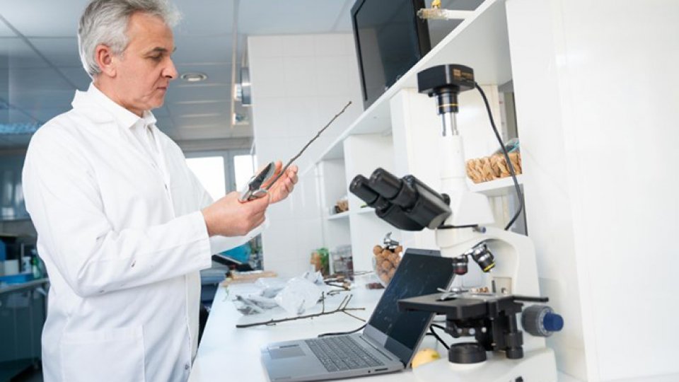 „Hrana noastră cea de toate zilele”  Partea I