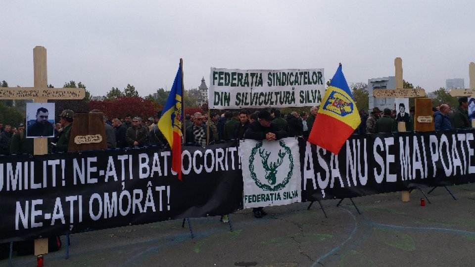 Protest de amploare al Federației Sindicatelor din Silvicultură, în fața Senatului