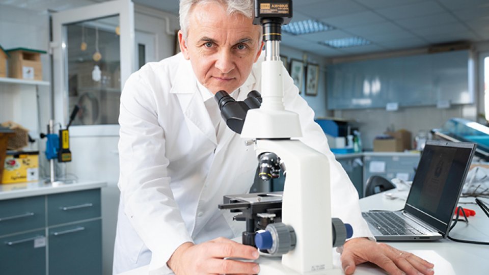 "Hrana noastră cea de toate zilele", partea a II-a