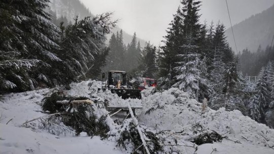 O avalanşă s-a produs în masivul Rodnei, zona Borşa