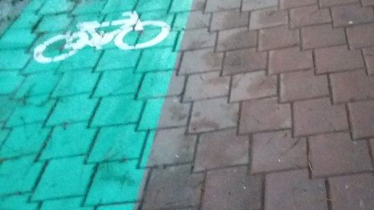 Inventarieri la fondul forestier pentru pregătirea traseelor de cicloturism în judeţele Suceava, Mureş şi Bistriţa-Năsăud