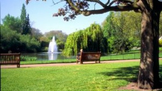 Protest împotriva intenției autorităților de a permite ridicarea unor imobile în parcul IOR din București