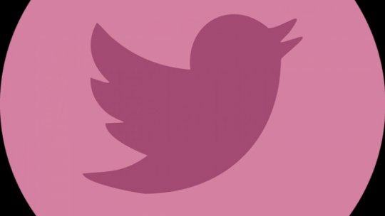 Rețeaua de socializare virtuală Twitter este acuzată că nu îi mai poate proteja pe utilizatori de abuzuri și dezinformare