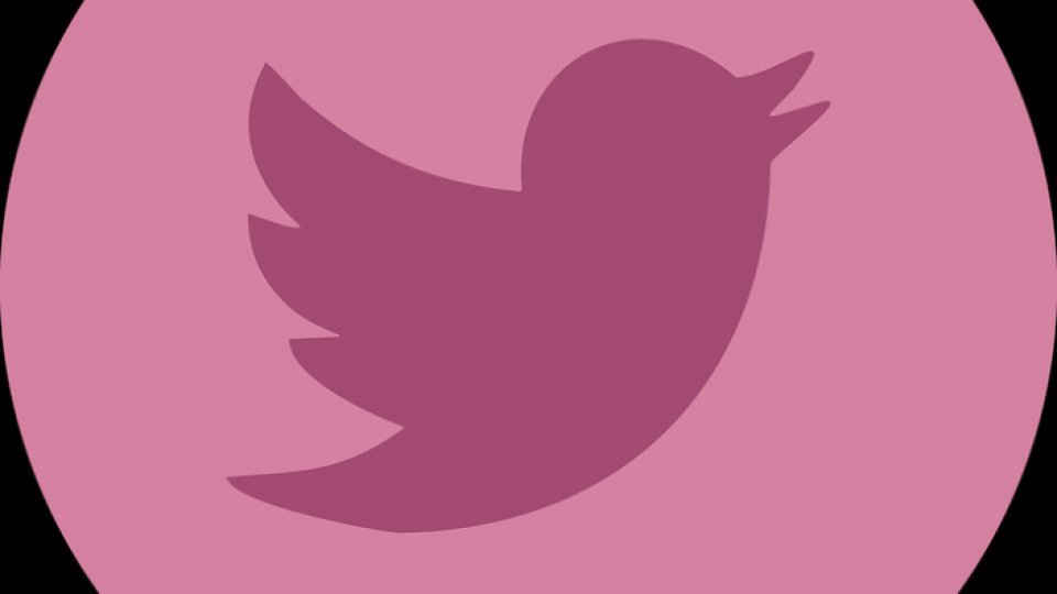 Rețeaua de socializare virtuală Twitter este acuzată că nu îi mai poate proteja pe utilizatori de abuzuri și dezinformare
