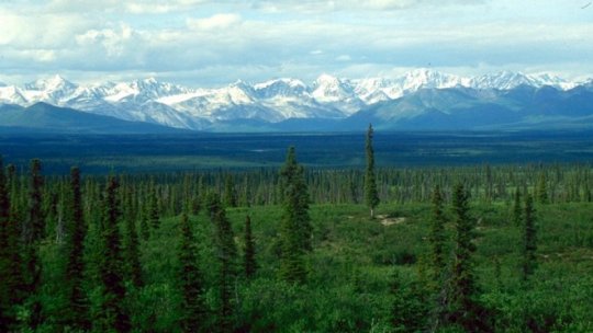 Preşedintele Biden a anunţat că SUA va aloca încă un miliard de dolari pentru lupta împotriva modificărilor climatice