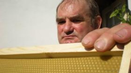 Apicultorii pot depune, până pe 4 august, cererile de plată şi documentele doveditoare pentru finanţarea din Fondul European de Garantare Agricolă şi de la bugetul de stat