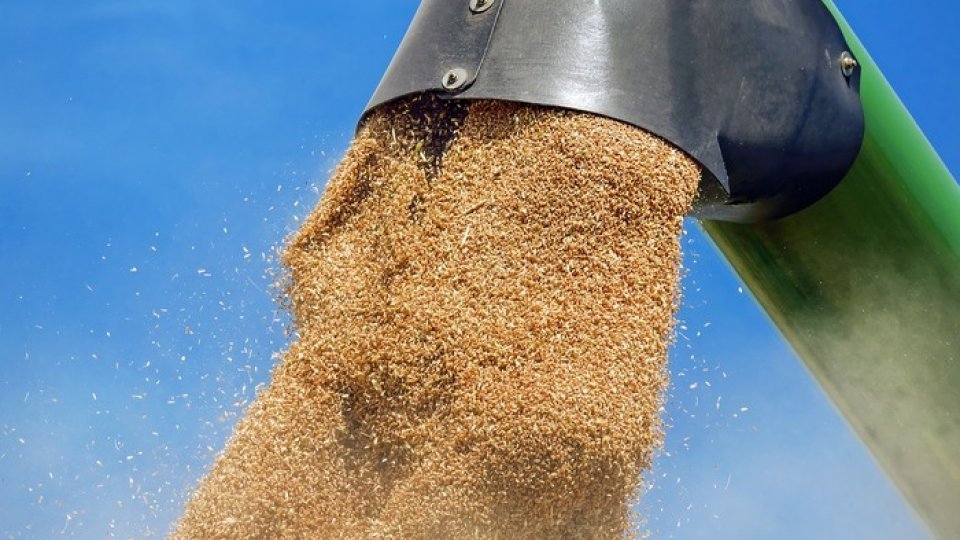 Ucraina ar putea exporta alte 15 milioane de tone de cereale în perioada aprilie-iunie
