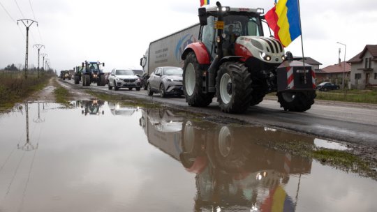 Criza cerealelor din Ucraina: Fermierii români acuză autoritățile de la București și Bruxelles