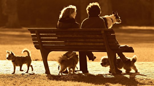 Refugiații ucraineni care doresc să intre în România cu animale de companie trebuie să facă din nou dovada vaccinării acestora