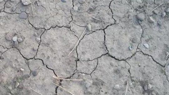 Seceta afectează deja alimentarea cu apă a mai multor comune din Giurgiu