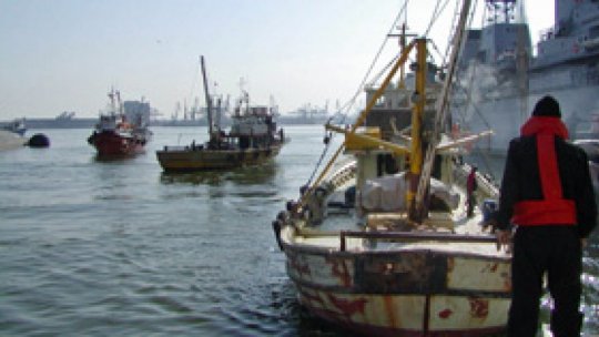 Oamenii refuză să mănânce pește din Marea Neagră „de frica holerei”