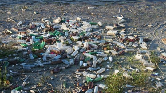 În România, plasticul se numără printre ambalajele cel mai des folosite, iar rata sa de reciclare este de doar 30%